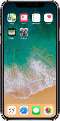 iPhone X